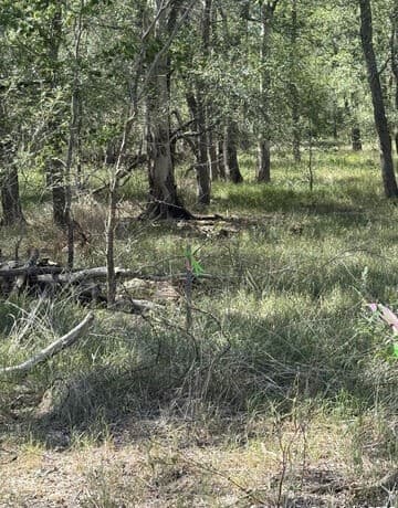 421  Kerr Ave, Sutherland Springs, TX 78161 — photo 7