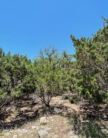 551  Ranch Vly, Boerne, TX 78015 — photo 3