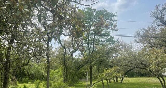 5914  Old Camp Bullis, San Antonio, TX 78257 — photo 3