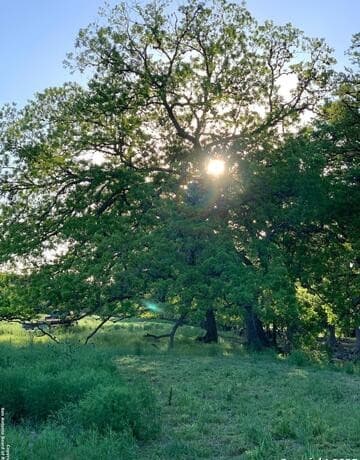 LOT 94  Sabinas Ridge Road, Boerne, TX 78006 — photo 2