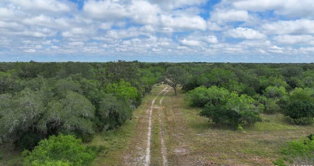 001  County Road 266, Gillett, TX 78116 — photo 11