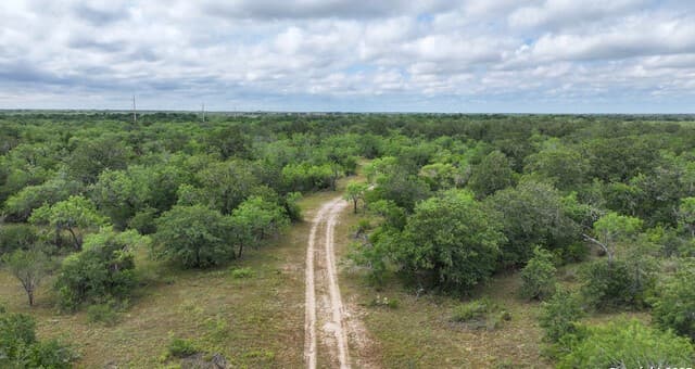 001  County Road 266, Gillett, TX 78116 — photo 14