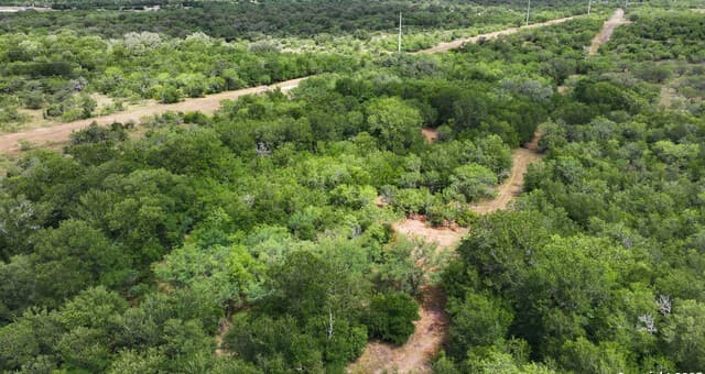 001  County Road 266, Gillett, TX 78116 — photo 17