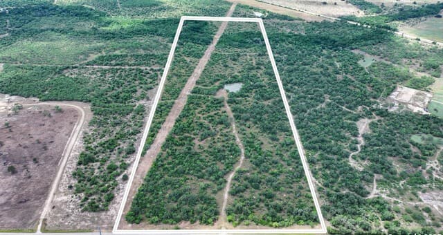 001  County Road 266, Gillett, TX 78116 — photo 2