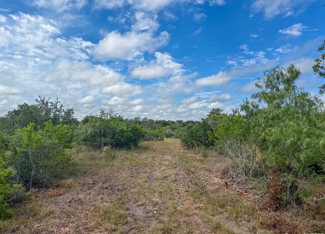 001  County Road 266, Gillett, TX 78116 — photo 23