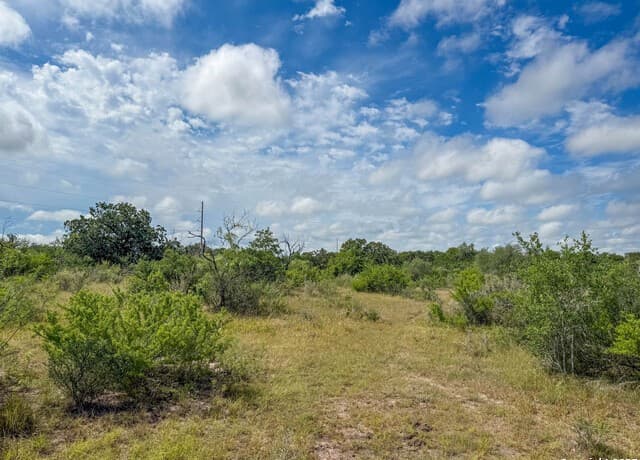 001  County Road 266, Gillett, TX 78116 — photo 24