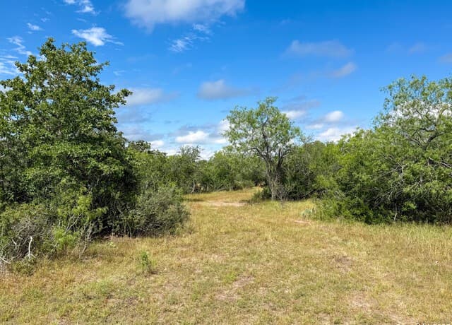 001  County Road 266, Gillett, TX 78116 — photo 25