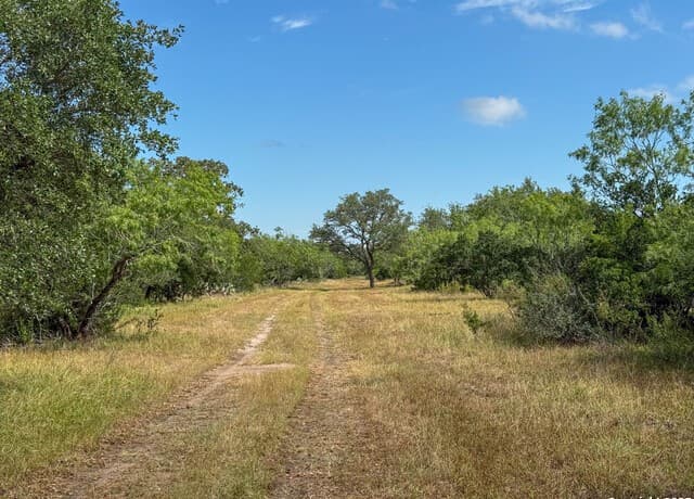 001  County Road 266, Gillett, TX 78116 — photo 5
