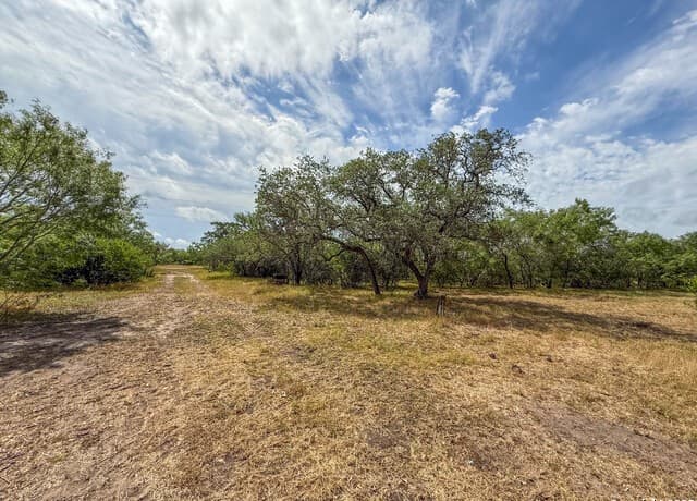 001  County Road 266, Gillett, TX 78116 — photo 6