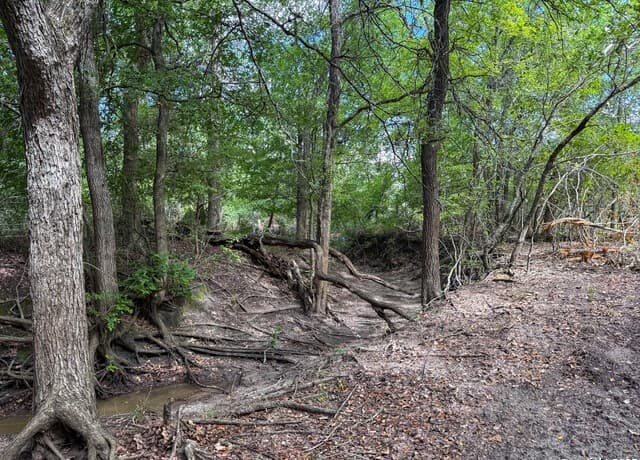 001  County Road 266, Gillett, TX 78116 — photo 7