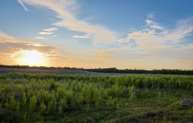 6266 Highway 281