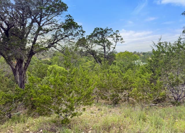 128  Enigma Avenue, Spring Branch, TX 78070 — photo 10