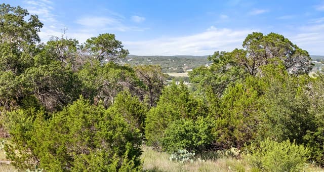 128  Enigma Avenue, Spring Branch, TX 78070 — photo 2