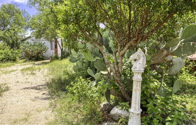 2422  Hillcrest Dr, San Antonio, TX 78228 — photo 12