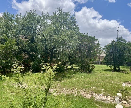 24002  Viento Oaks, San Antonio, TX 78260 — photo 2