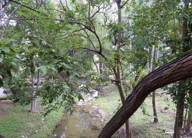 4119  Medical Unit 304F, San Antonio, TX 78229 — photo 16