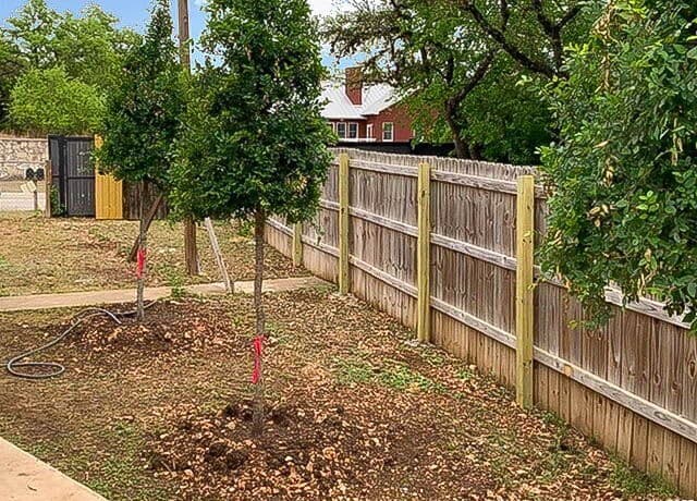 25211  Aue, San Antonio, TX 78257 — photo 5