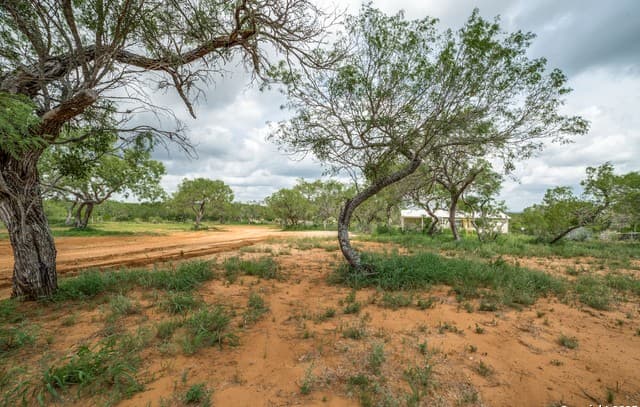 1062  County Road 122 Lot 4, Floresville, TX 78114 — photo 4
