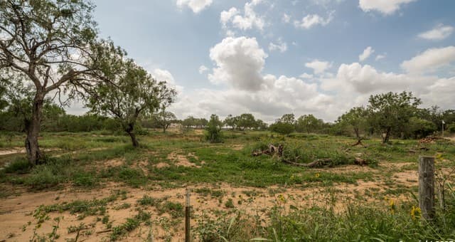 1062  County Road 122 Lot 4, Floresville, TX 78114 — photo 5