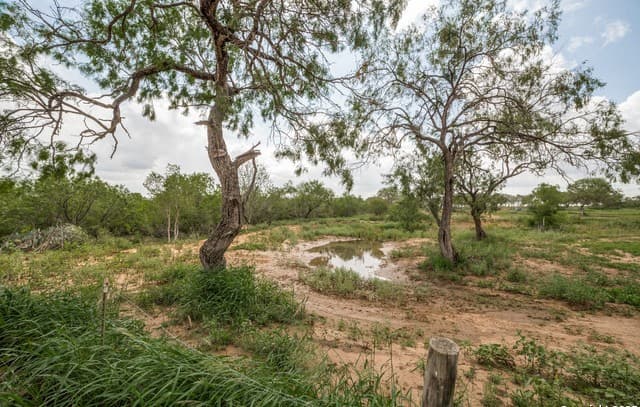 1062  County Road 122 Lot 4, Floresville, TX 78114 — photo 6