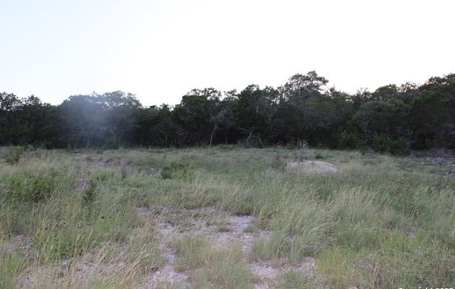 2041  Fuller Dr., Canyon Lake, TX 78133 — photo 3