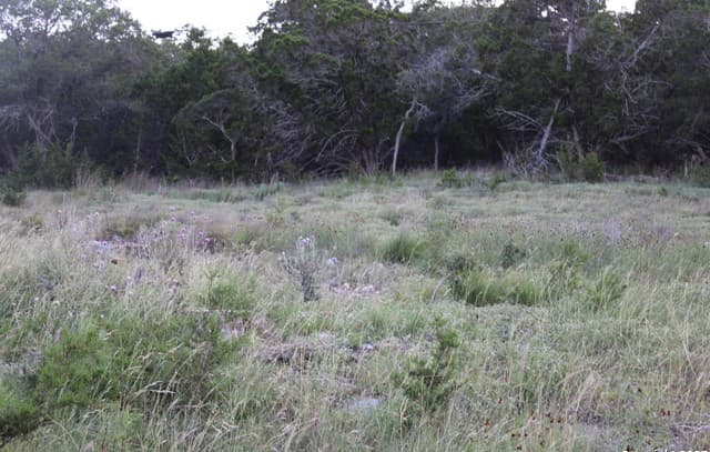 2041  Fuller Dr., Canyon Lake, TX 78133 — photo 4