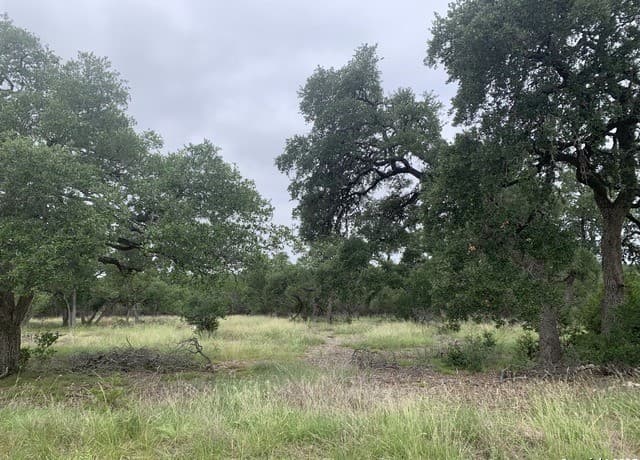 191  Indian Blanket, Spring Branch, TX 78070 — photo 3