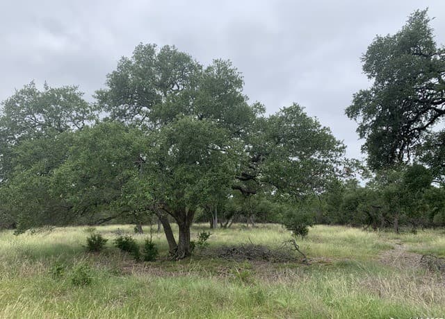 191  Indian Blanket, Spring Branch, TX 78070 — photo 4