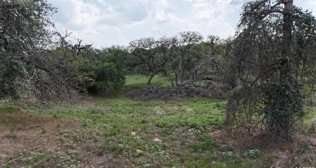 1228  Morning Glory Ln, Adkins, TX 78101 — photo 12