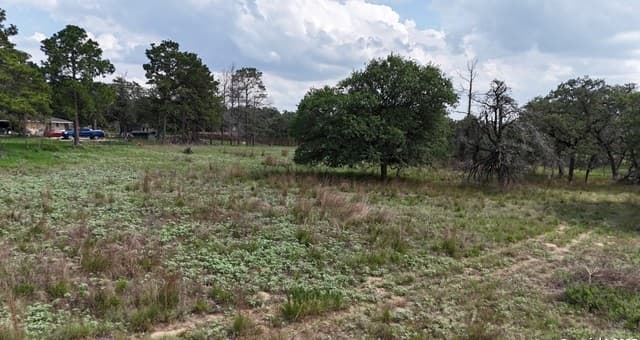 1228  Morning Glory Ln, Adkins, TX 78101 — photo 2