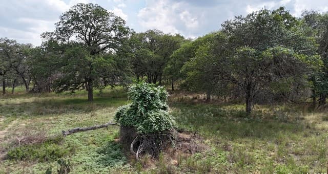 1228  Morning Glory Ln, Adkins, TX 78101 — photo 3