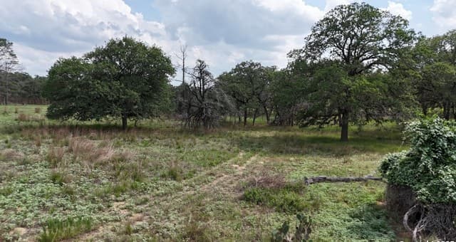 1228  Morning Glory Ln, Adkins, TX 78101 — photo 4