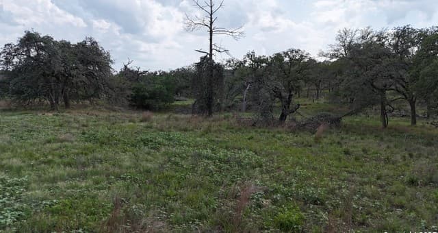 1228  Morning Glory Ln, Adkins, TX 78101 — photo 5