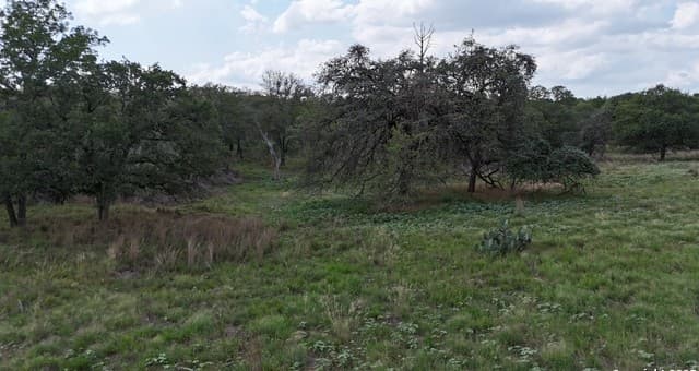 1228  Morning Glory Ln, Adkins, TX 78101 — photo 6