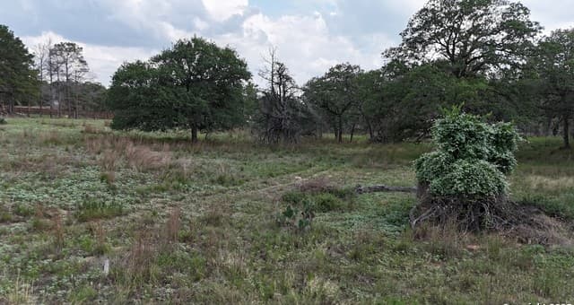1228  Morning Glory Ln, Adkins, TX 78101 — photo 8