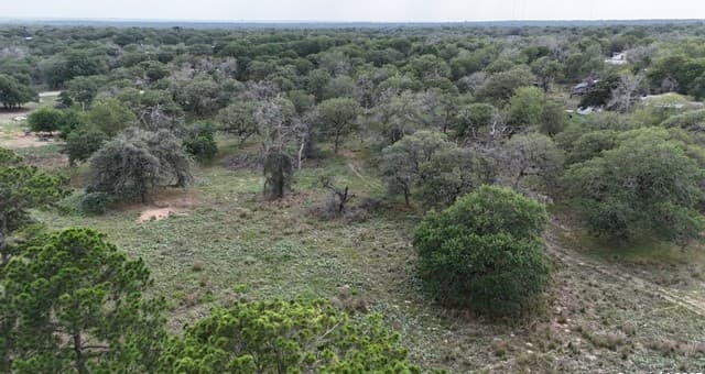 1228  Morning Glory Ln, Adkins, TX 78101 — photo 9