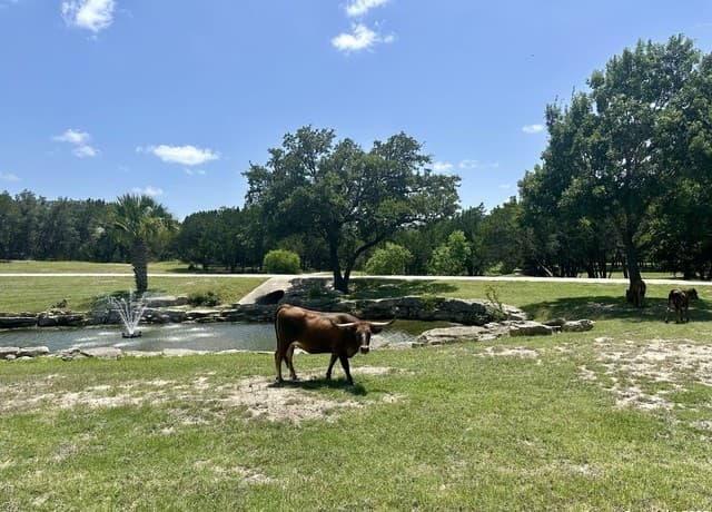3  Thunder Verde, Boerne, TX 78006 — photo 8