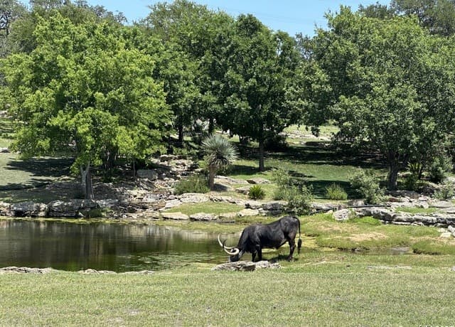3  Thunder Verde, Boerne, TX 78006 — photo 9