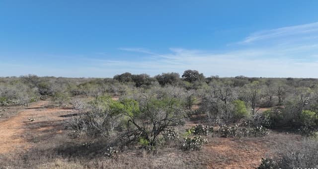 10  Windmill Ranchettes CR 329, Jourdanton, TX 78026 — photo 10