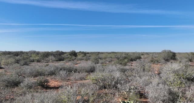 10  Windmill Ranchettes CR 329, Jourdanton, TX 78026 — photo 13