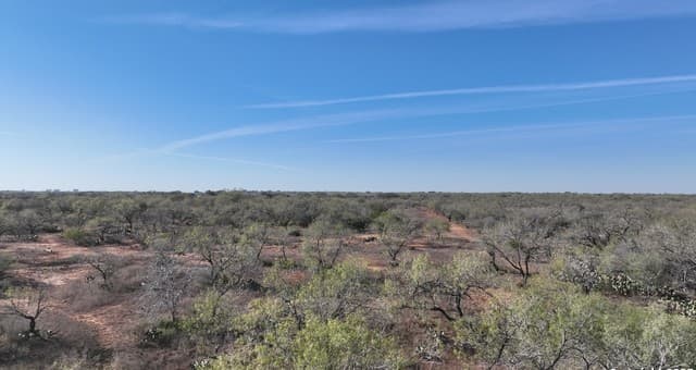 10  Windmill Ranchettes CR 329, Jourdanton, TX 78026 — photo 17