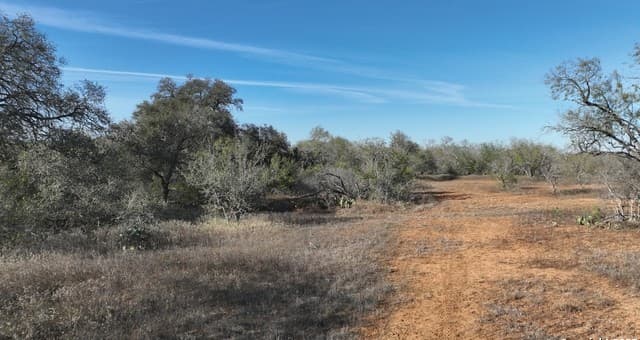 10  Windmill Ranchettes CR 329, Jourdanton, TX 78026 — photo 3
