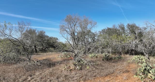 10  Windmill Ranchettes CR 329, Jourdanton, TX 78026 — photo 4