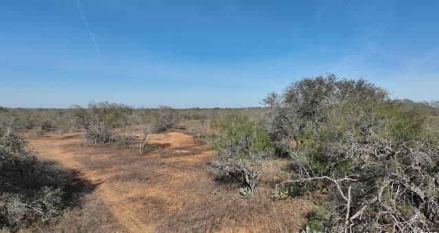 10  Windmill Ranchettes CR 329, Jourdanton, TX 78026 — photo 5