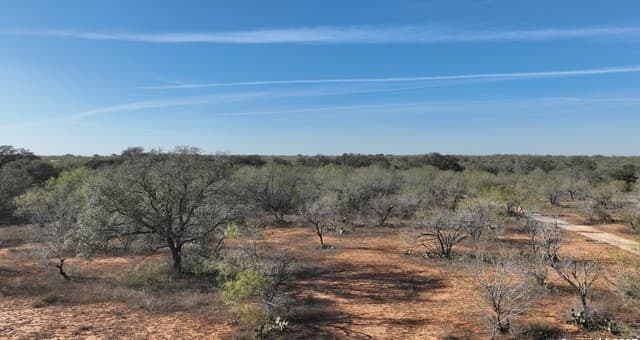 10  Windmill Ranchettes CR 329, Jourdanton, TX 78026 — photo 6