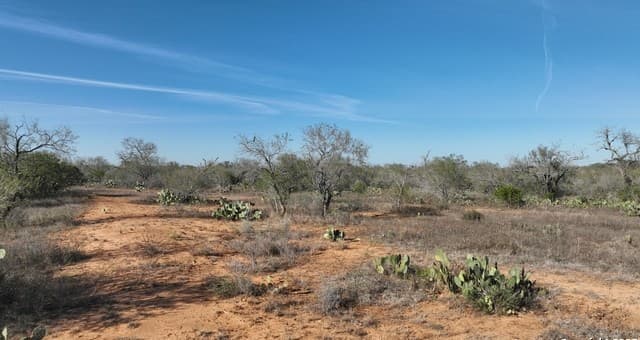 10  Windmill Ranchettes CR 329, Jourdanton, TX 78026 — photo 9