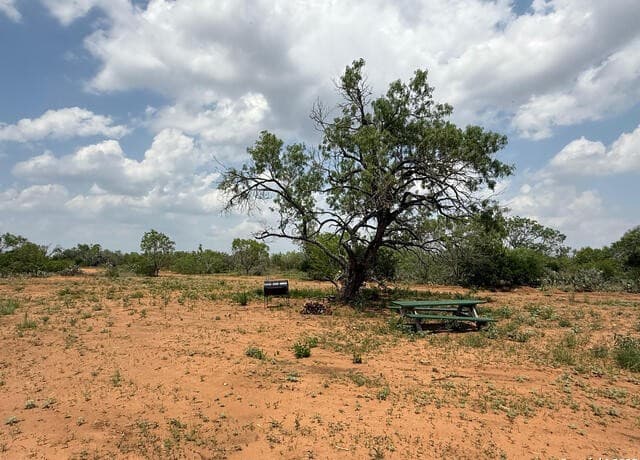 00  Fm 472, Bigfoot, TX 78005 — photo 4