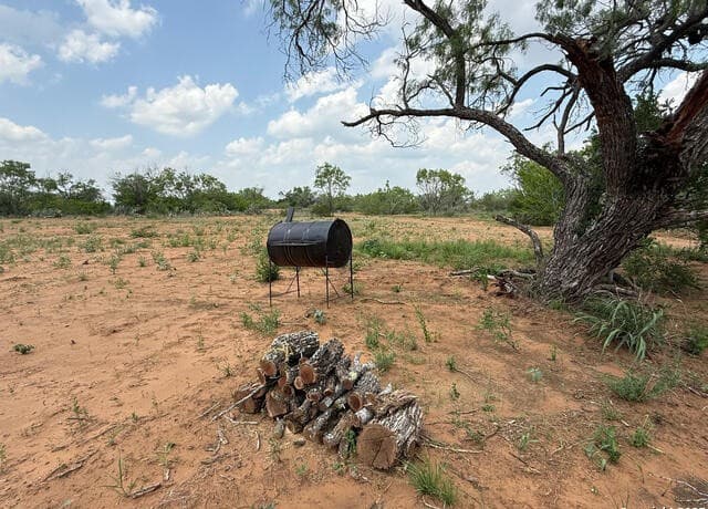 00  Fm 472, Bigfoot, TX 78005 — photo 5