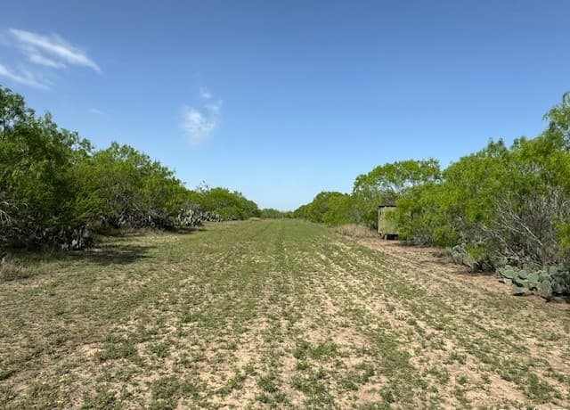 24  Windmill Ranchettes CR 329, Jourdanton, TX 78064 — photo 2