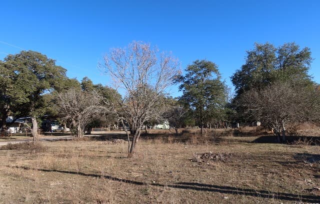 TBD LOT 1  Pecan